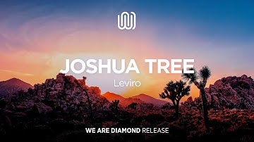 Leviro - Joshua Tree