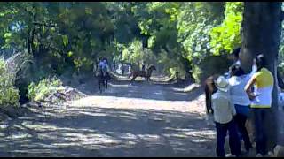 Carreras de Caballos Turundeo 5 2013