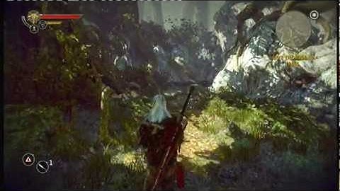 The Witcher 2 Enhanced Edition Xbox360 gameplay