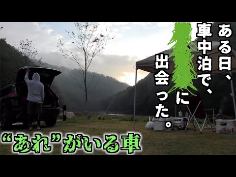 【実話】完ソロの車中泊で迫り来る“あれ”の恐怖に震えるソロキャンプ【それがいる森より100倍怖い】【イサキ】【コイ】【アユ】【日本酒】【鮎の里公園キャンプ場】