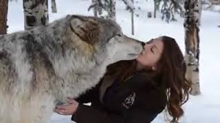 Wolf Kisses Girl