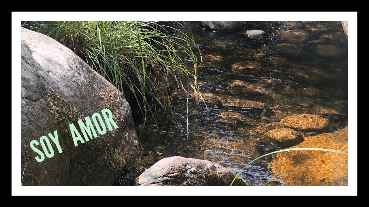 SOY AMOR - Tomás Contell (Canción)