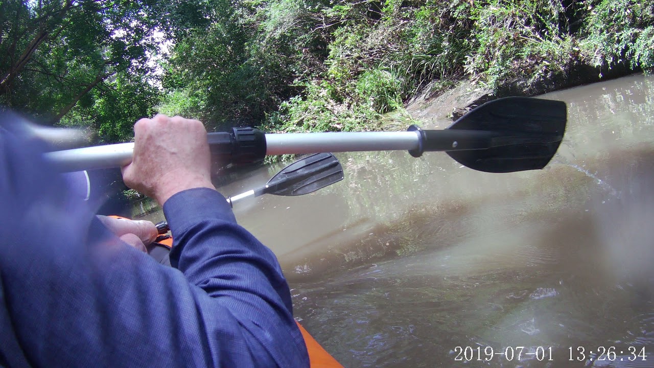 Kayaking in Lane Cove River