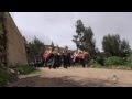 Huaylejia de Casacoto Tapo Tarma 4 Enero 2015