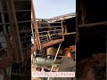「牛を安全に輸送！農家の工夫で作った簡易積み込みランプ」#畜産技術 #動物福祉