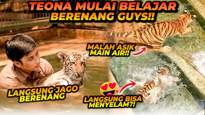 TEONA BELAJAR RENANG DI KOLAM ! LANGSUNG BISA MENYELAM ?! AKTIF BANGET PERGERAKAN TEONA !!