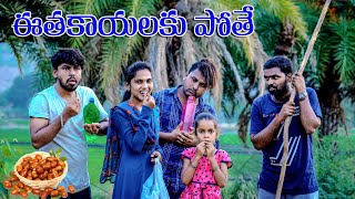 ఈతకాయలకు దారేది//ultimate village comedy video// junnu videos//laxmi videos//