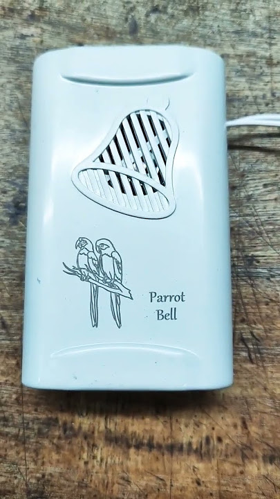 Bel Pintu Burung Beo