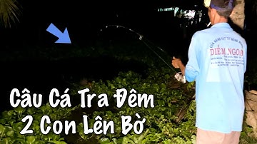 Thấy Cá Tra Ục Trên Sông Anh Em Câu Cá Tra Đêm Và Củ Tỏi Tóm Gọn 2 Em Ngon Lành/fishing/NGÃ NĂM TV