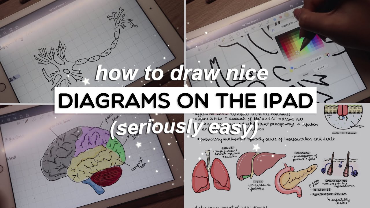 How To Draw Diagrams On The Ipad Seriously Easy Goodnotes 5 Youtube Draw Diagram Notes Inspiration Ipad Hacks