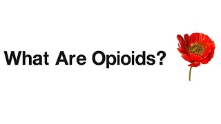 What are Opioids?