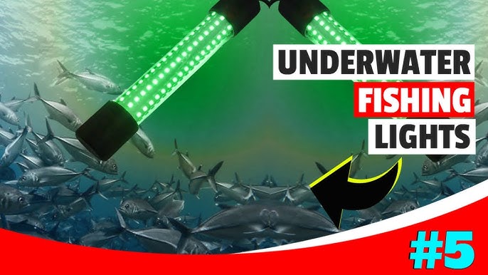 The 5 Best Underwater Fishing Lights For 2022