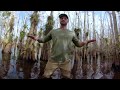 Exploring Cypress Domes in the Everglades