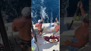 2020 Bisbee's East Cape Offshore | Protocol | Striped Marlin