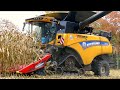New Holland CR 10.90 on tracks | Corn and Corn Cob Harvest | Aernouts Tax