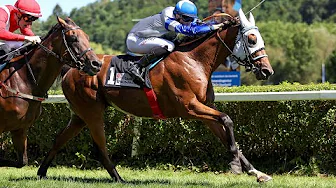 LOTTO 6aus49-Preis thumbnail
