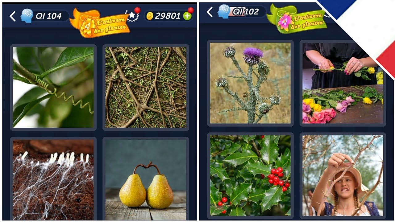 4 Images 1 Mot L Univers Des Plantes