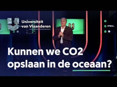 Video: Hoe kan fytoplankton schadelijk zijn?