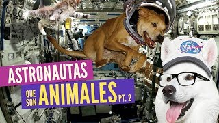 🐶 Animales Astronautas (con Curiosamente y La Silla de Hawking)
