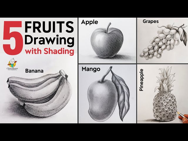 Let's Learn How to Draw Fruits : 11 Steps - Instructables