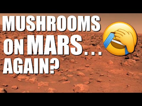 Mushrooms On Mars... AGAIN? (clip)