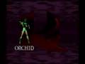 Tas killer instinct snes in 1122 by dark cloud