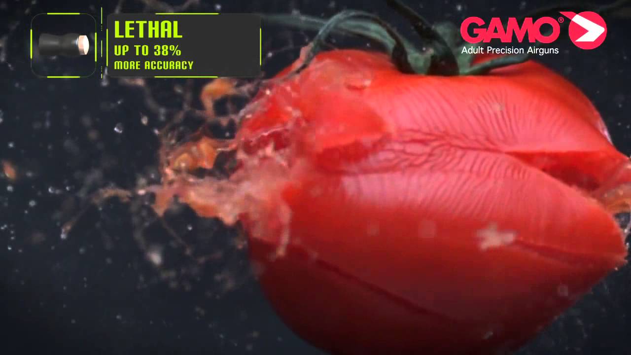 Gamo 'LETHAL' Pellet | Munición Gamo