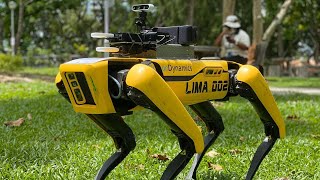 video: Watch: Robot dog reminds park goers about social distancing in Singapore