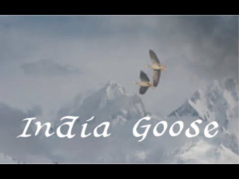 中島みゆき　India Goose　(covered by K)