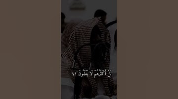 تلاوة خاشعة للشيخ محمد اللحيدان من سورة النمل
