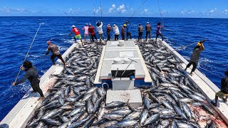 ONE BY ONE |The Beauty of Maldives Pole & Line Skipjack Tuna Fishing 🎣
