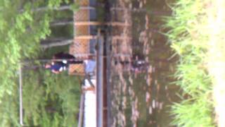 Joey's (the black lab) First time Dock Diving with teh Seacoast Dock Dogs!!