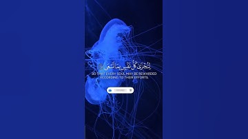 قران كريم بصوت جميل جدا جدا #قرآن #اكسبلور #المصحف #قرآن_كريم #راحة_نفسية #لايك #قران_كريم_200