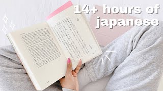 my 14+ hour weekly japanese study routine| how I study intermediate japanese at home
