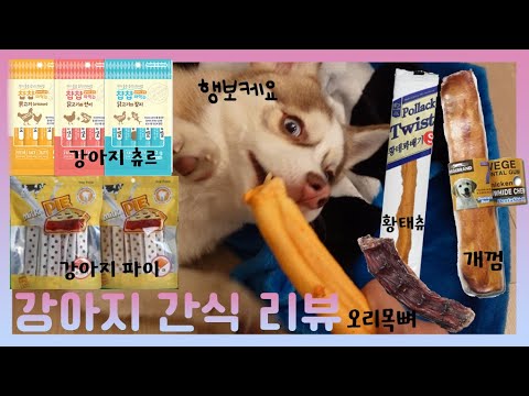 강아지 간식 리뷰 / 오리목뼈 / 강아지 츄르/ 황태츄 / 개껌 /강아지 파이 /강아지 먹방 / 강아지 간식 추천/ 폼스키 /Pomeranian/ Husky /pomsky