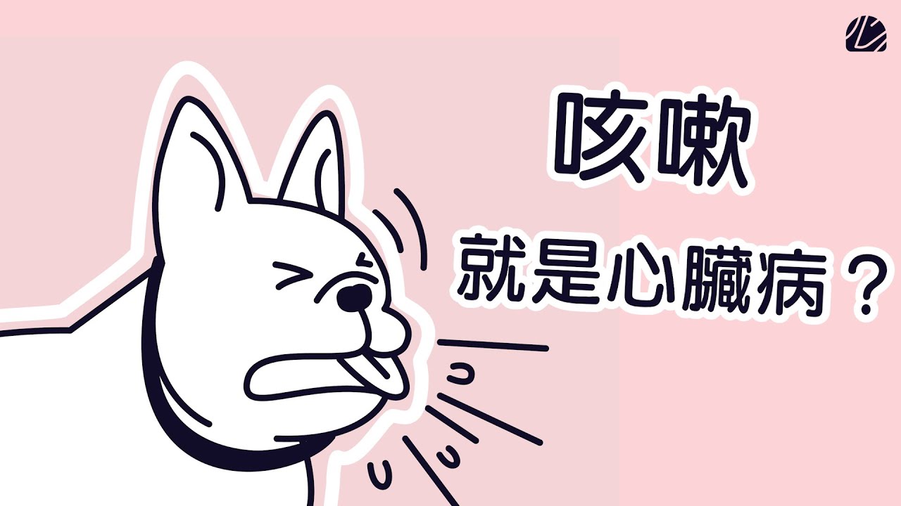 寵物知識+/貓狗咳嗽是什麼原因?獸醫解析何時才需要就醫 元氣新聞