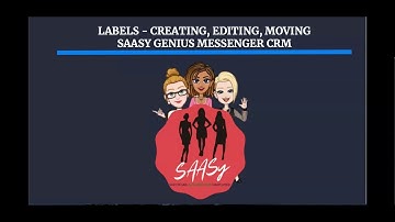 #2   Sassy Genius Messenger CRM   Labels Create, Edit, Move 2