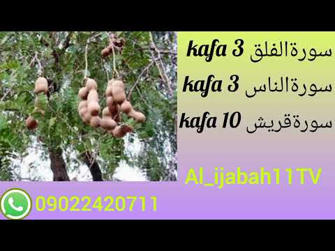 Idan Kana Son Dafa I Jalabi Fatahi Kayi Wanna Sirrin