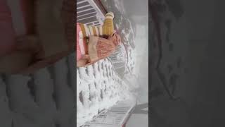 Darshan Fall New Chanel