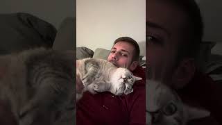 Ultimatives Katze zum kuscheln rufen Video! CatInfo