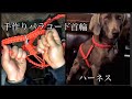 DIYパラコード　首輪とハーネス