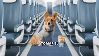Productos para viajes con mascotas -  Petco