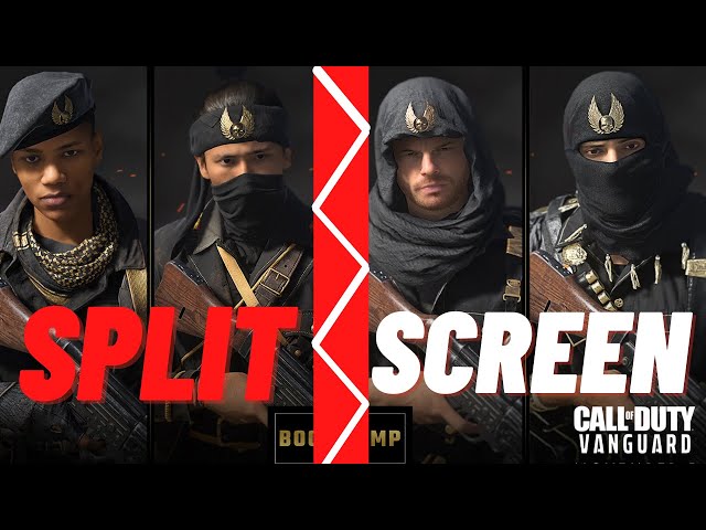 Does Call Of Duty: Vanguard have split screen on PC?
