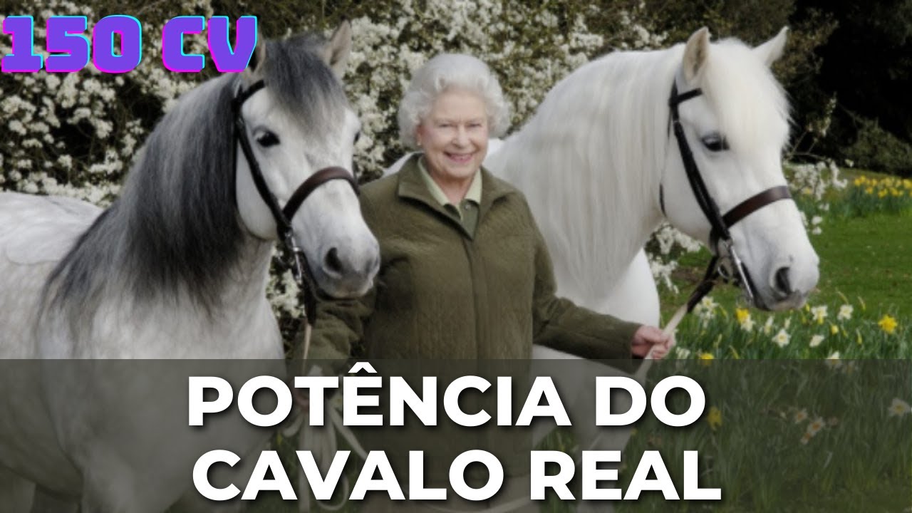 O QUE É POTÊNCIA DE UM MOTOR DE CARRO EM CAVALOS? - YouTube