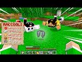 TROVA L'OGGETTO SEGRETO su MINECRAFT!