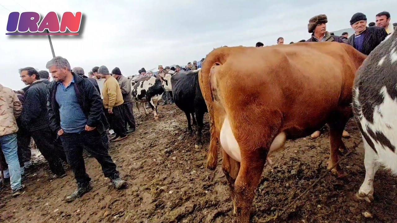 A Day in an Iranian Rural Market | Village Life You’ve Never Seen | Cows, Food & Traditions