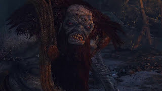 Rax&#39;s Bestiary: Elementa and Ogroids(Witcher 3 how to kill monsters)