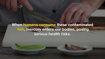 The Mercury Menace Environmental Impact - LIFE MERCURY-FREE