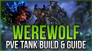 🛡️🐺 Eso - Pve Werewolf Tank Build & Guide | Sets, Skills, Cp | Ascending Tide