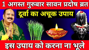 1 अगस्त गुरुबार सावन प्रदोष ब्रत को दूर्वा वाला उपाय जरूर करें || Pradeep Ji Mishra